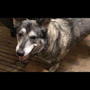 Meet your Posher, Bernice